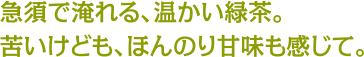 急須で淹れる、温かい緑茶。苦いけども、ほんのり甘味も感じて。