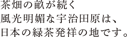 茶畑の畝が続く風光明媚な宇治田原は、日本の緑茶発祥の地です。