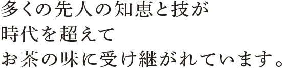 多くの先人の知恵と技が時代を超えてお茶の味に受け継がれています。