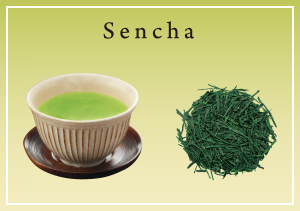 Sencha