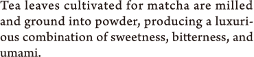 Tea leaves cultivated for matcha are milled and ground into powder, producing a luxurious combination of sweetness, bitterness, and umami.