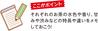 ここがポイント それぞれのお茶の水色や香り、甘みや渋みなどの特長や違いをメモしておこう!