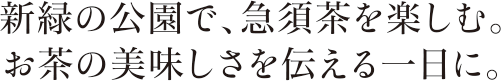 新緑の公園で、急須茶を楽しむ。お茶の美味しさを伝える一日に。